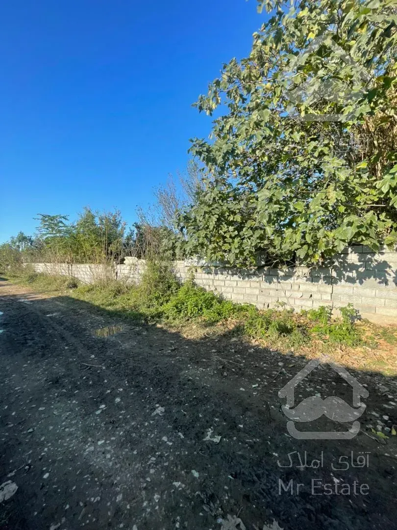 فروش فوری باغ در آمل مناسب سرمایه گذاری