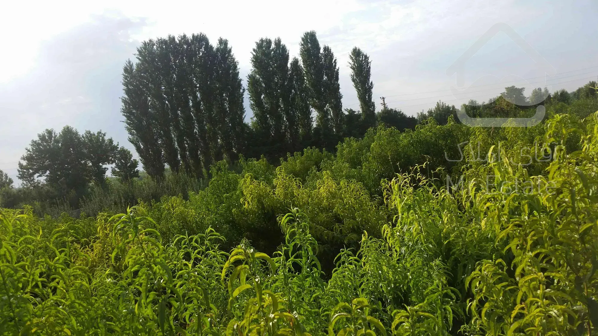 زمین در تهراندشت، سرخاب، قاسم آباد آقا بورس ترین منطقه