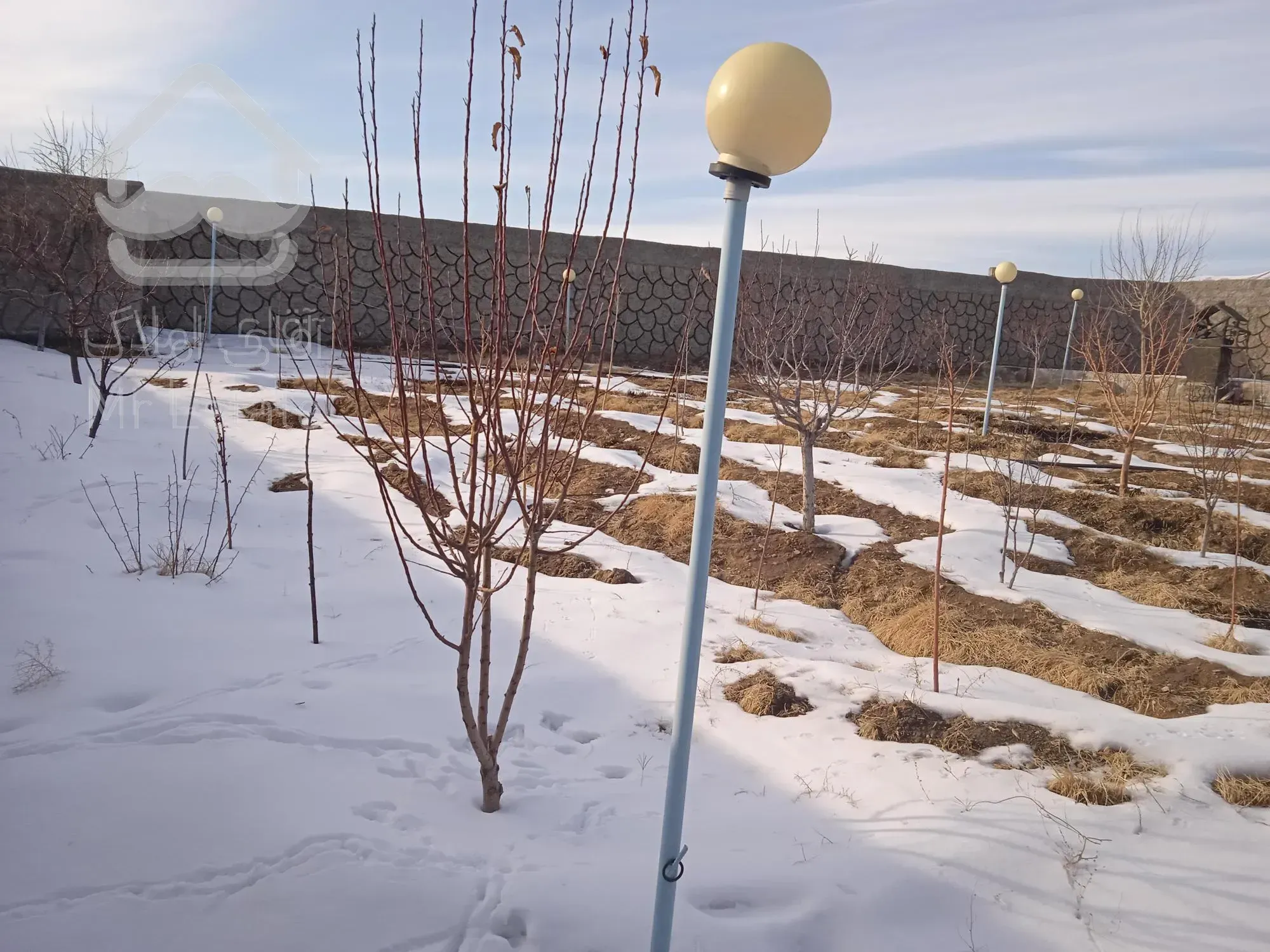 باغ خانه 🏡 باغ درامند