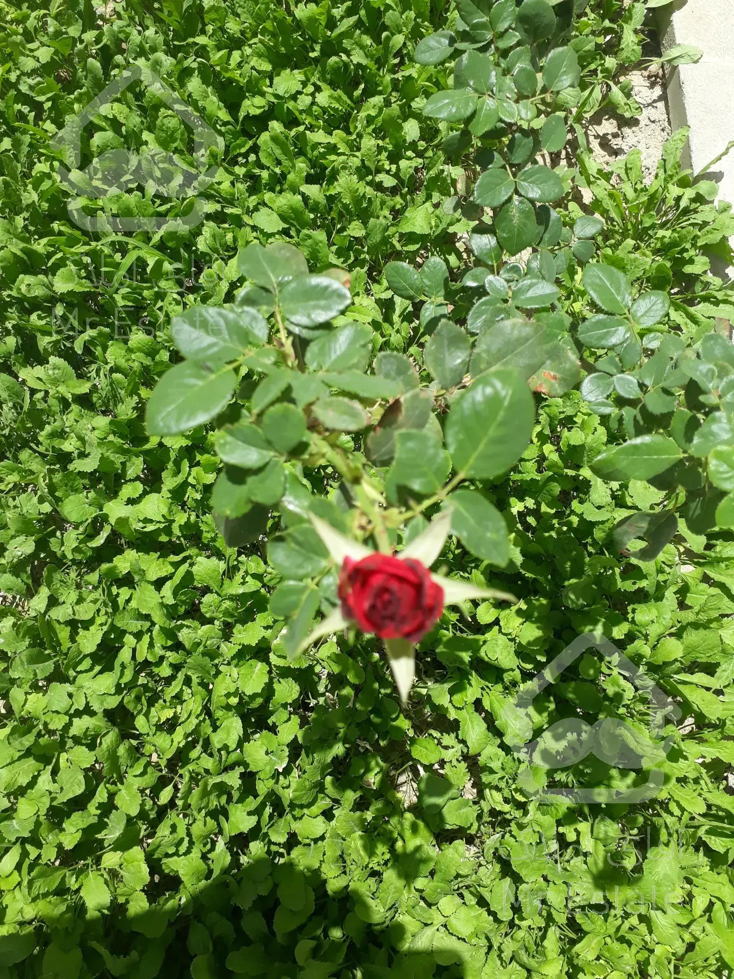 خانه فروشی ورامین