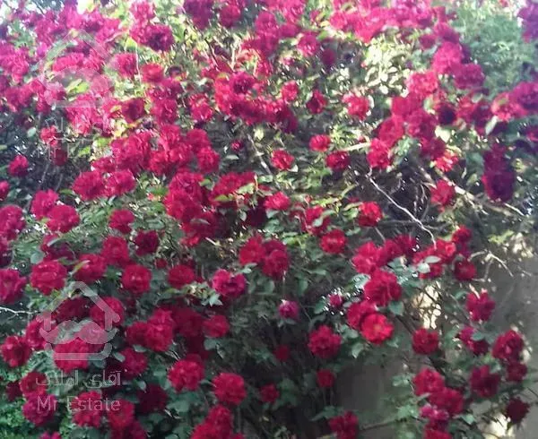 ویلا 1225 متر حاجی بیگ هشتگرد سنددار