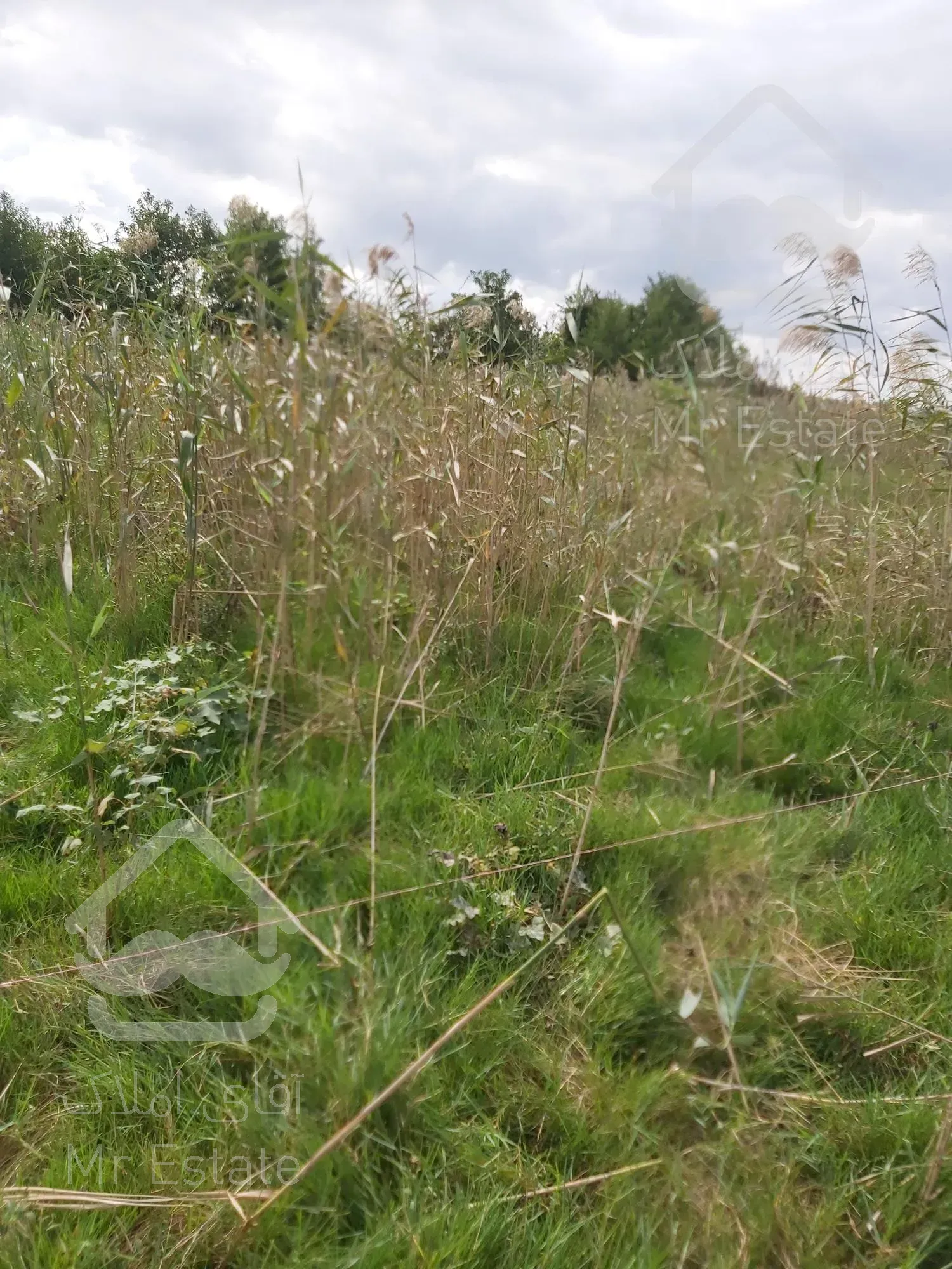 زمین مسکونی متراژ ۵۳۶ متر