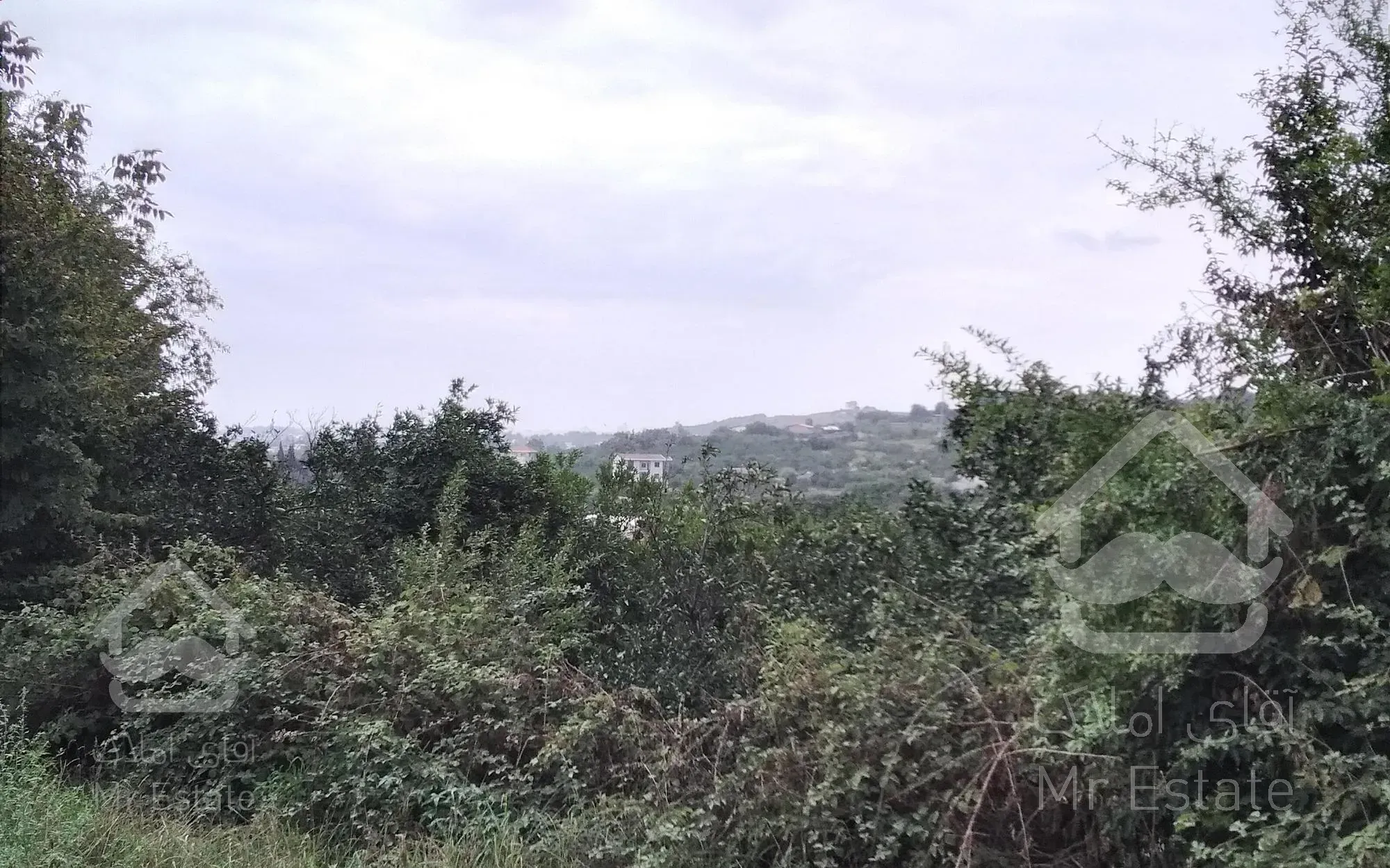 فروش زمین ویلایی