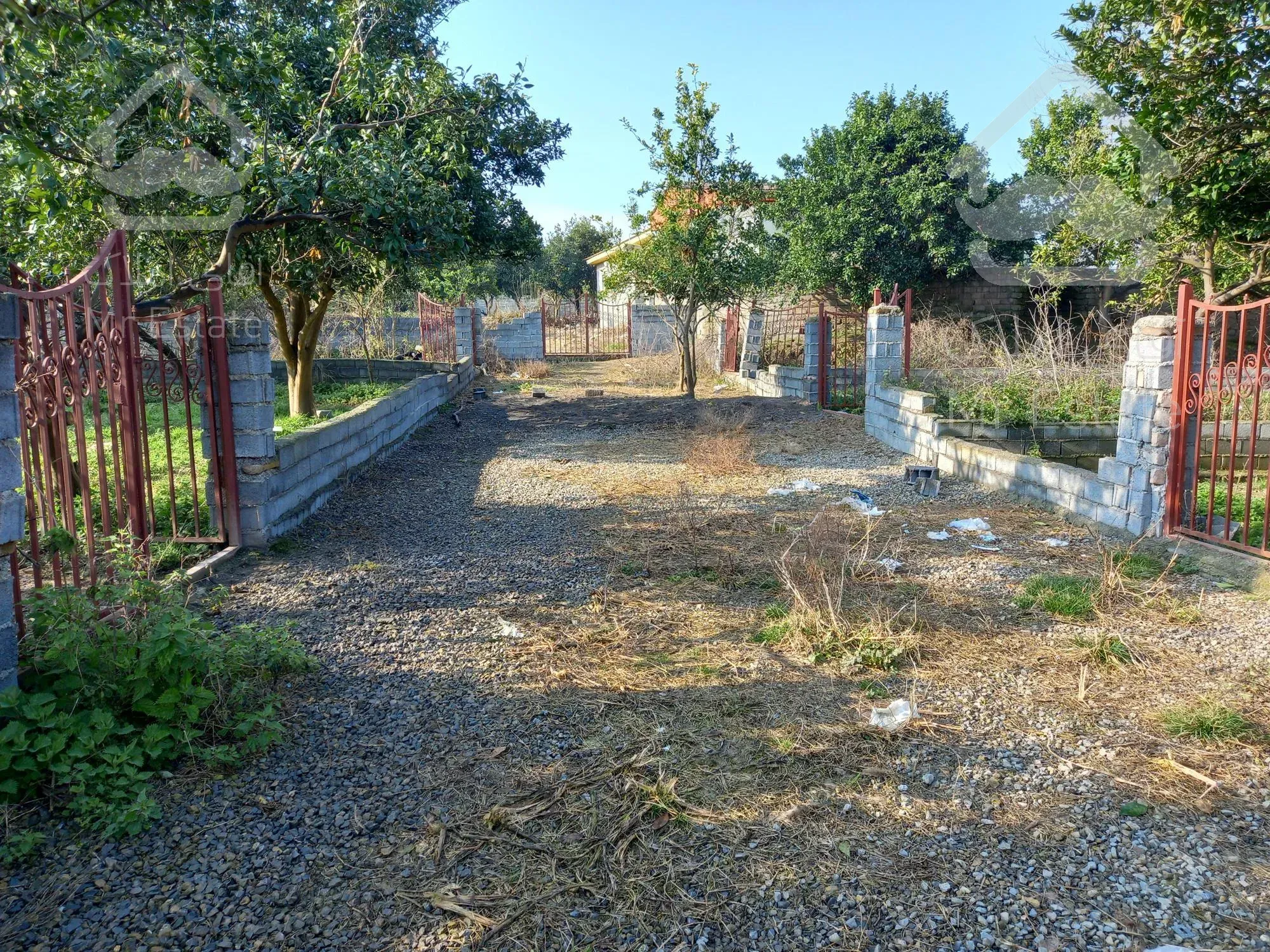 زمین جنگلی بافت مسکونی