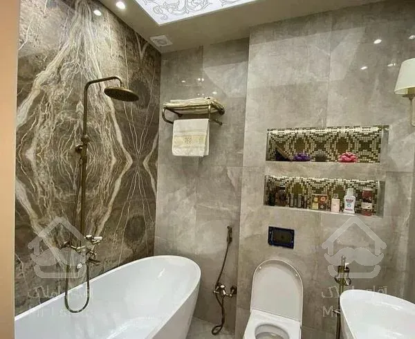 ۱۲۷ متر دریاچه مالک  فروشنده