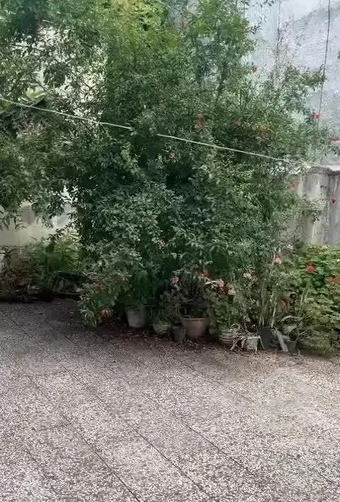 فروش دو واحدی  با ۲۹۷ متر زمین در اوایل خ فلسطین