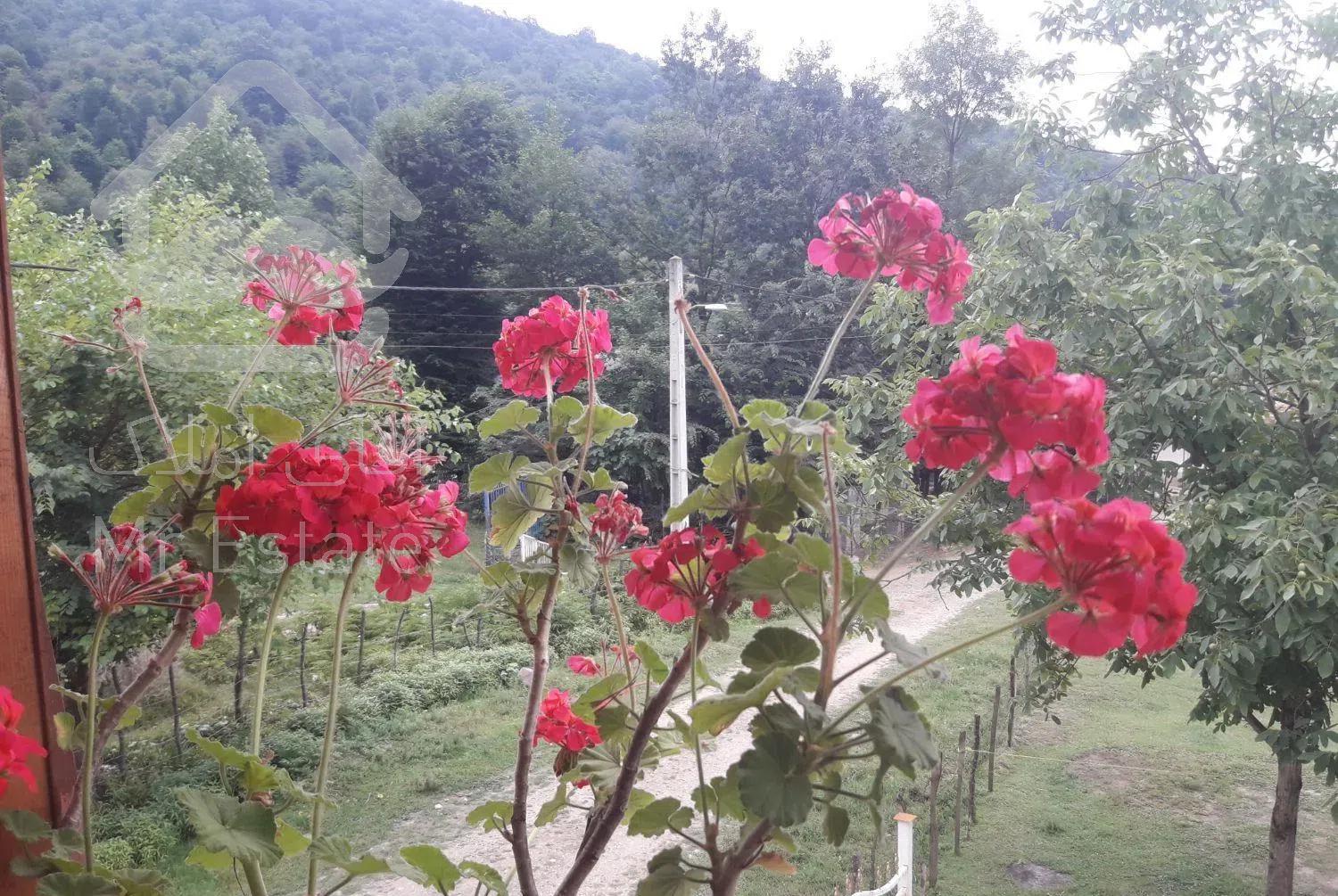 اجاره کلبه دوخواب در روستای مرکیه