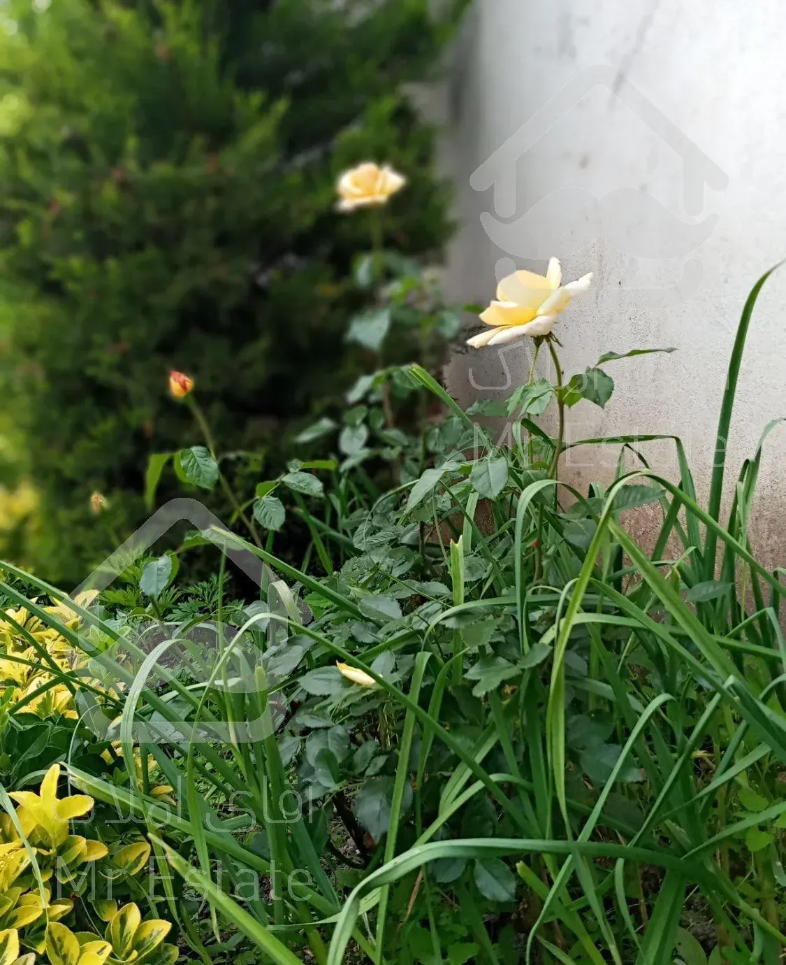 اقامتگاه باغ سالار رشت بامجوزرسمی نوساز