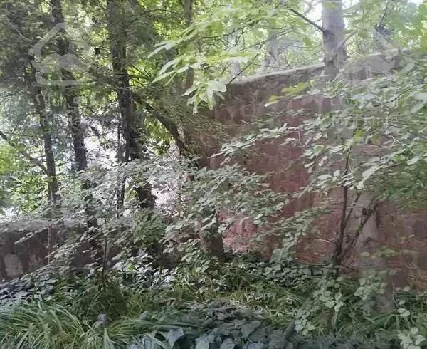 باغ ویلا  چشمه اعلی