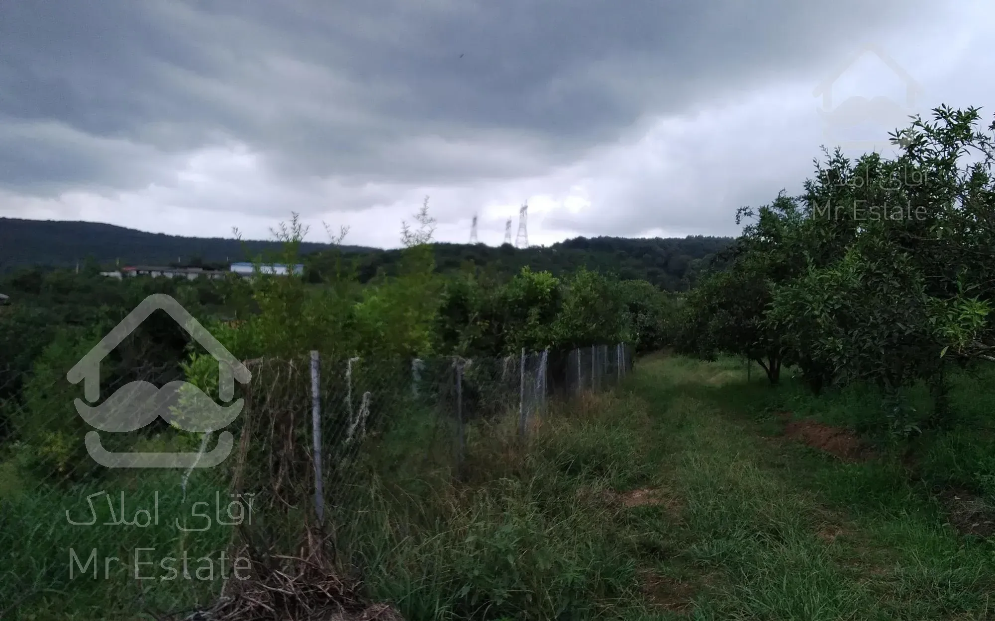 فروش زمین ویلایی بالای تپه نزدیک جنگل