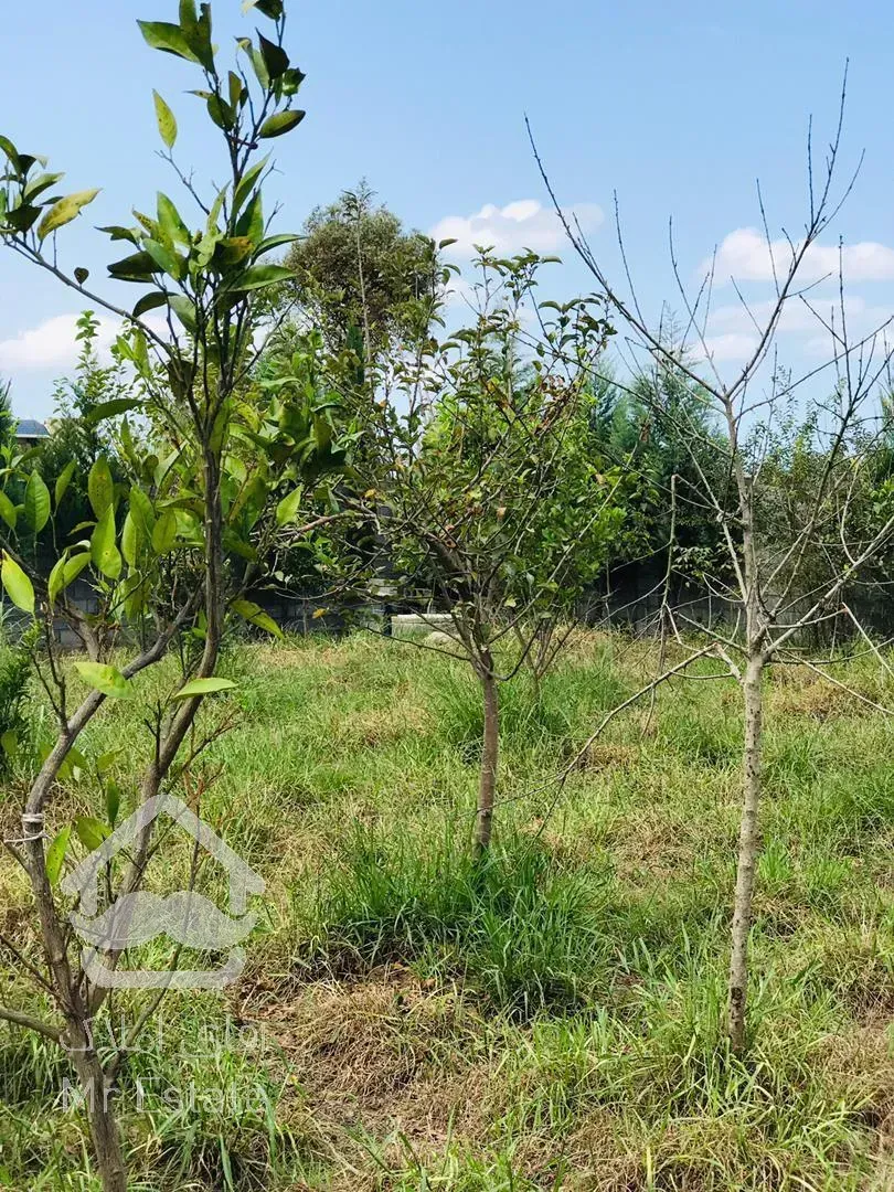 فروش باغ بسيار زيبا در منطقه ي غير بومي