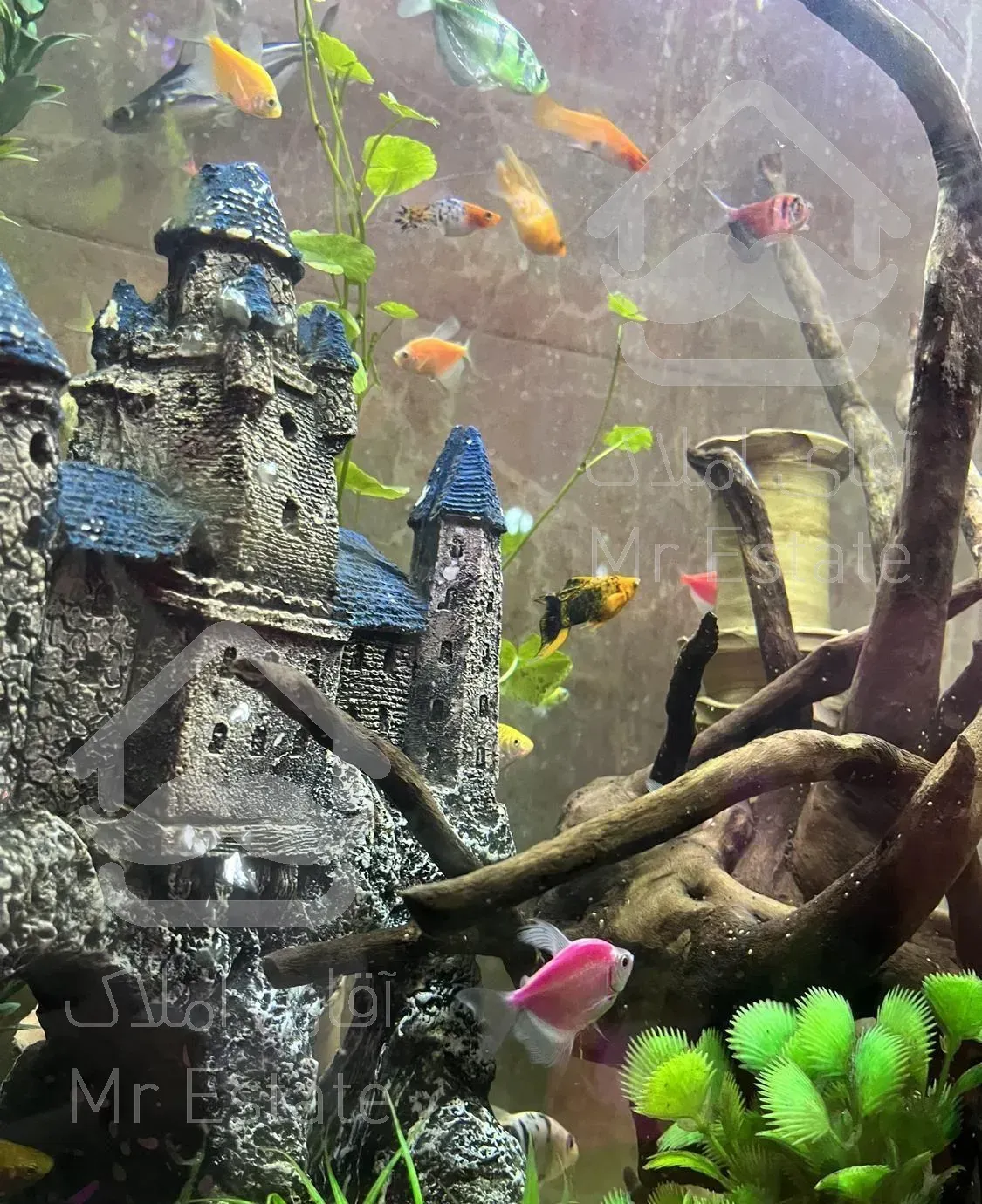 پرستاری سالمندکودک نظافت شرکت