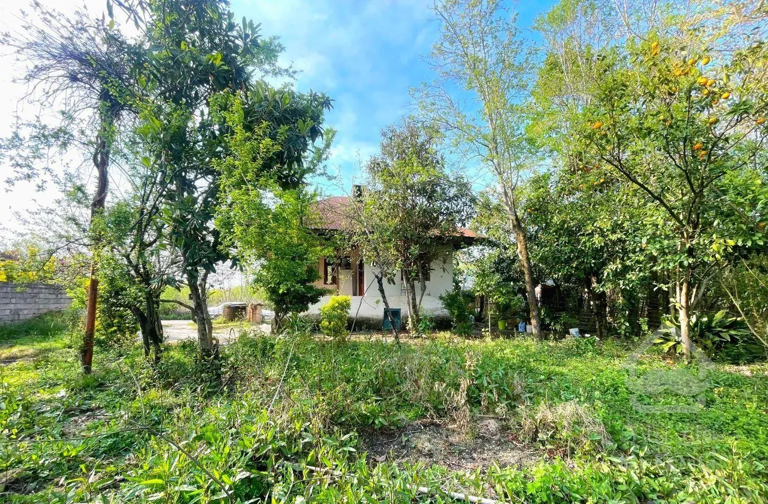 خانه ویلایی سرسبز ۵۵۰ متر فضای دلنشین زیبا