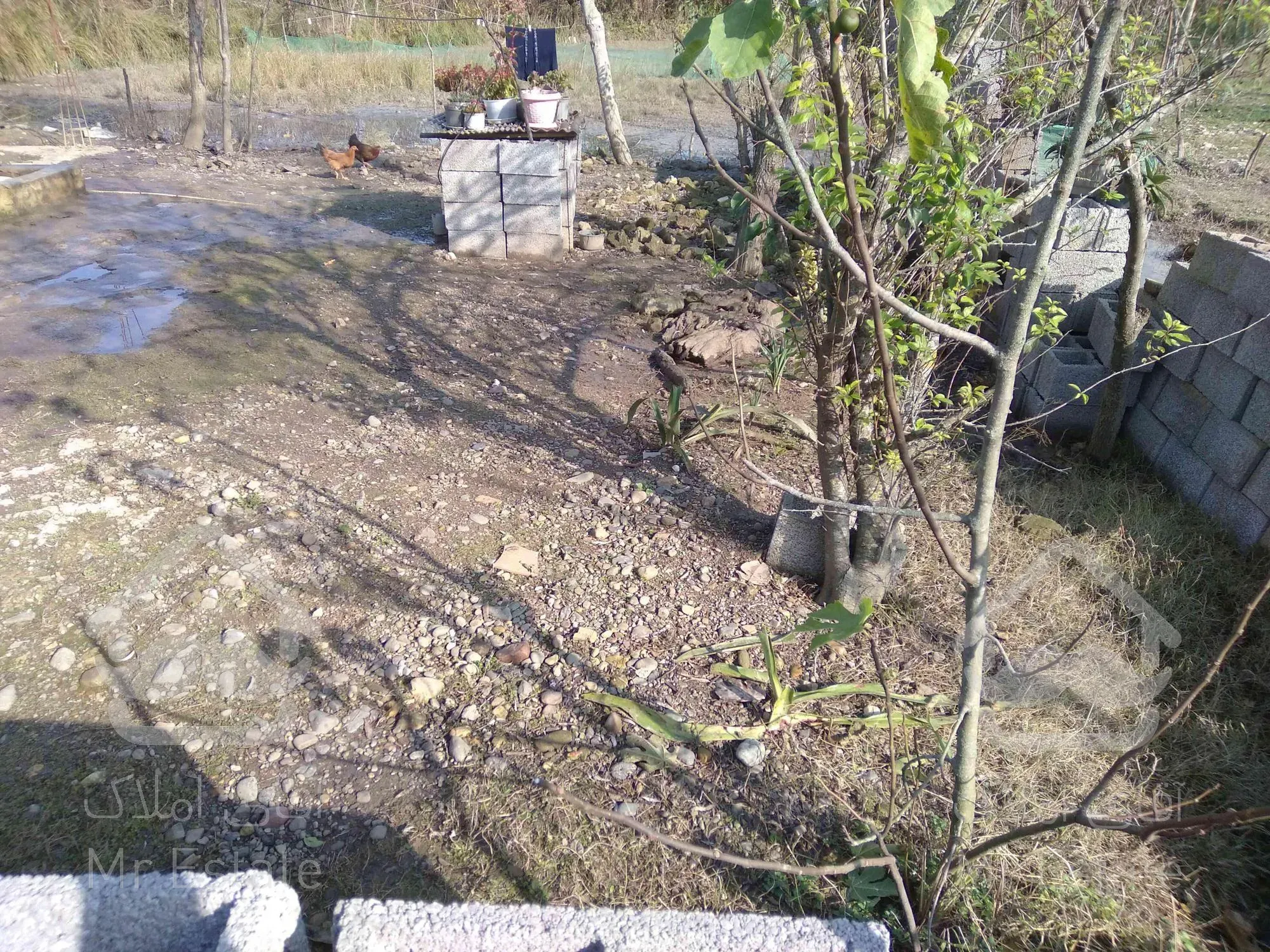 خانه ویلایی در سقالکسار