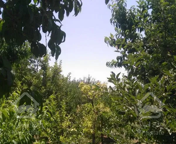 ۲۰۰ متر باغ دیوار کشی شده با سند جابان