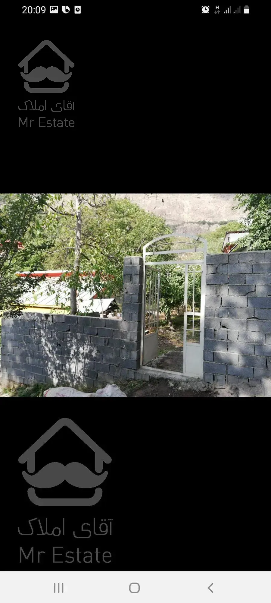 باغ گردو در روستای امیری آمل