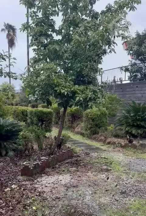 باغ ویلای ساحلی پلاک ۱ دریا جاده به ساحل دربست