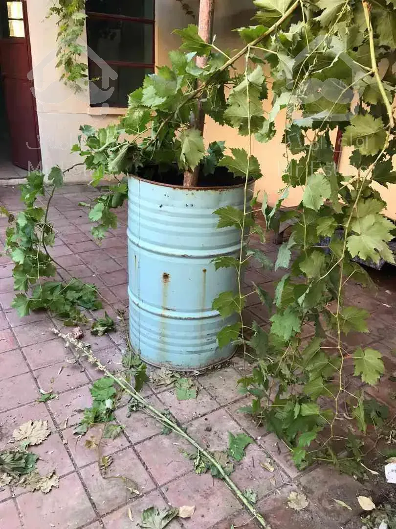 ملک کلنگی ۱۶۰متری نیاوران