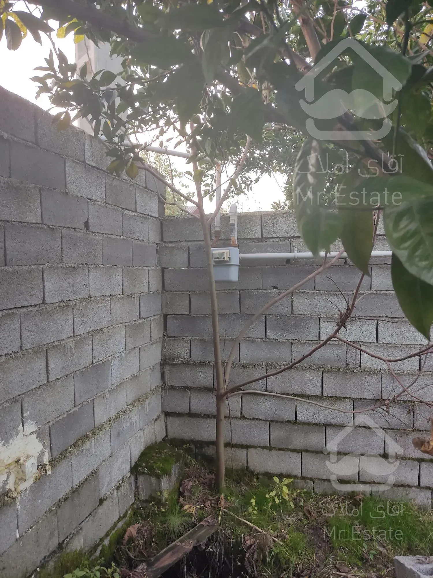 ۷۰۰مترزمین و ویلا در چالوس محدوده سده زوات