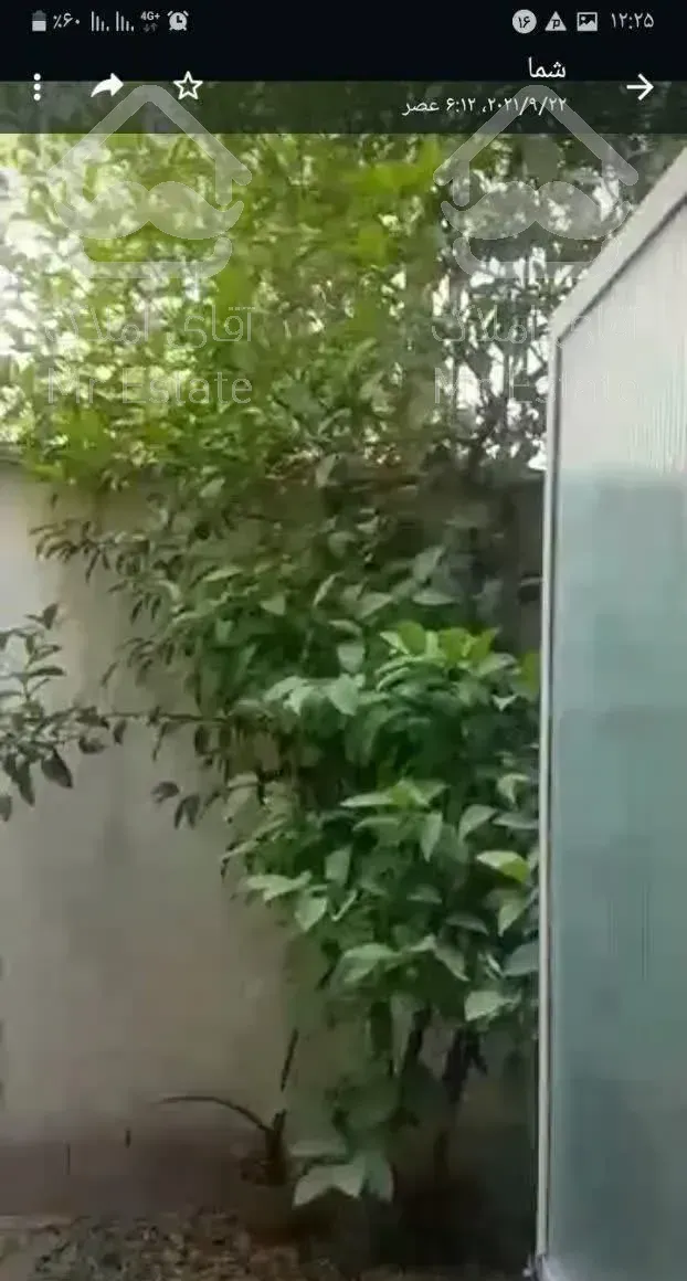 80مترتکواحدی