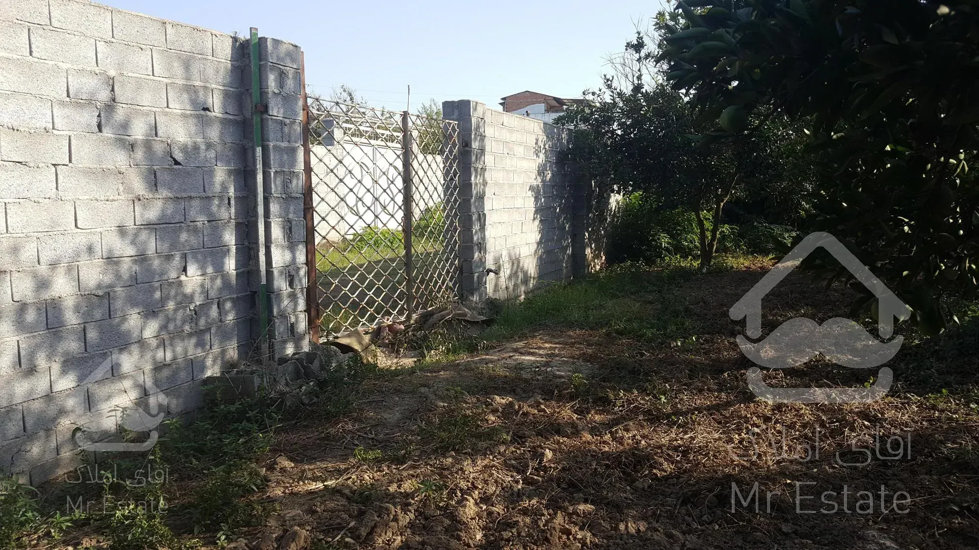 ۱۰۰۰ متر زمین با انشعابات کامل داخل بافت قائمشهر