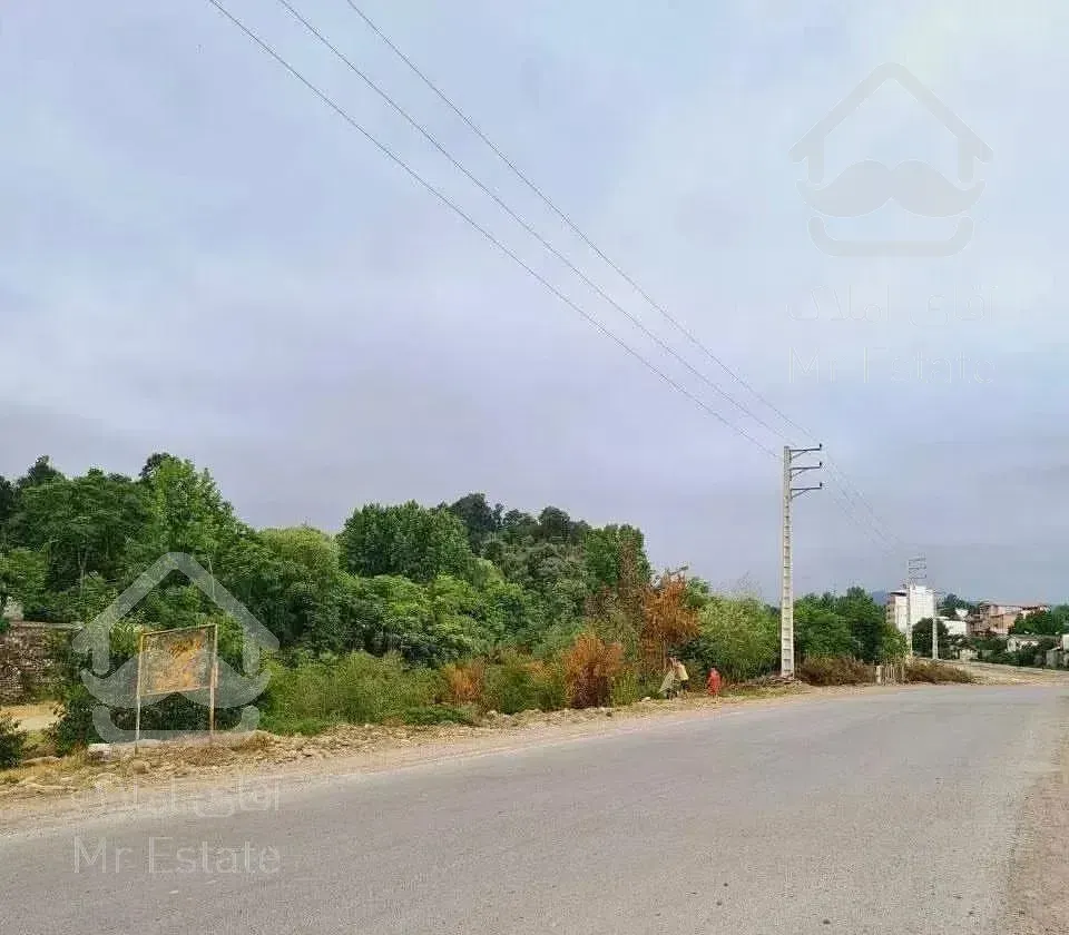 فلت سنتی بامسیرجنگلی/نزدیک جنگل/حیاط سازی/نور