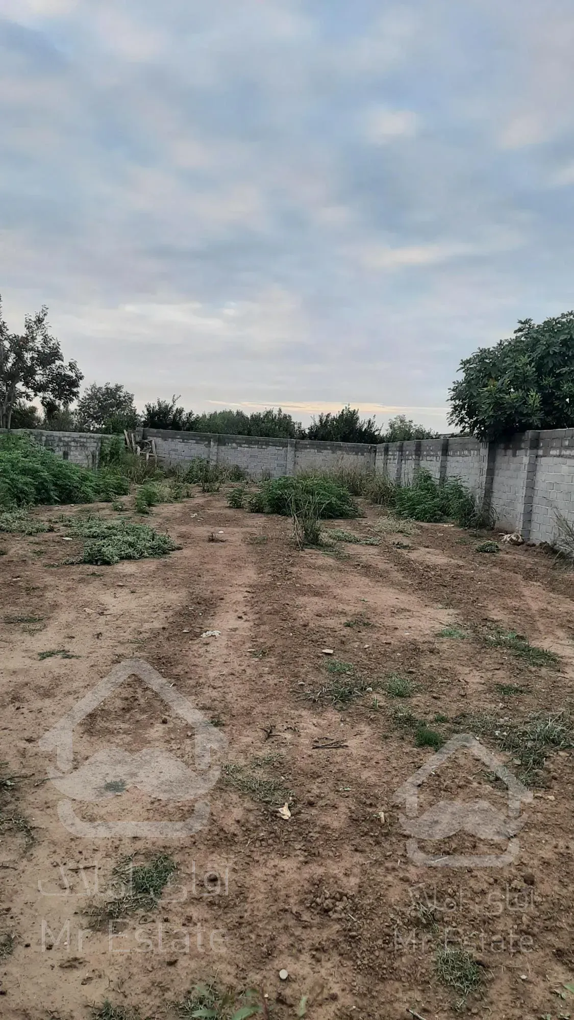 فروش  ملک خانه سری