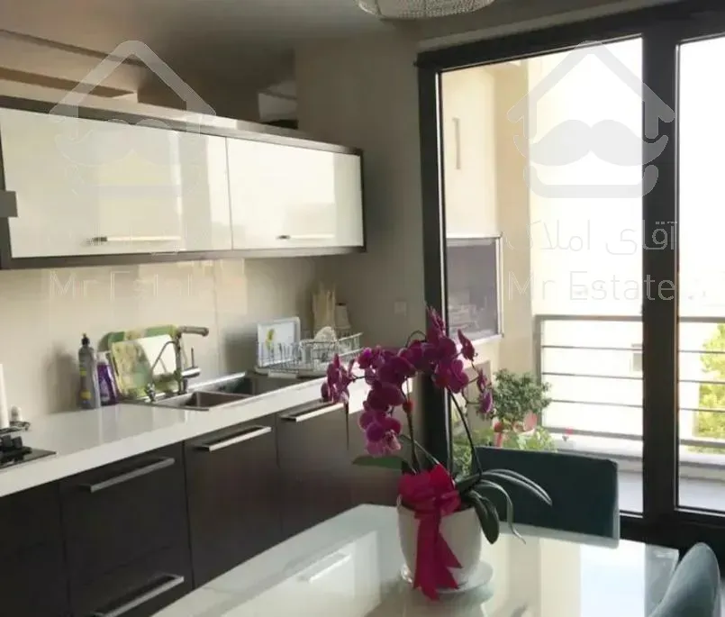 آپارتمان ۱۱۵ متر ۲ خوابه، میرداماد ظفر