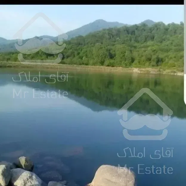 ویلا جنگلی دربست وصل به جنگل ورودخانه