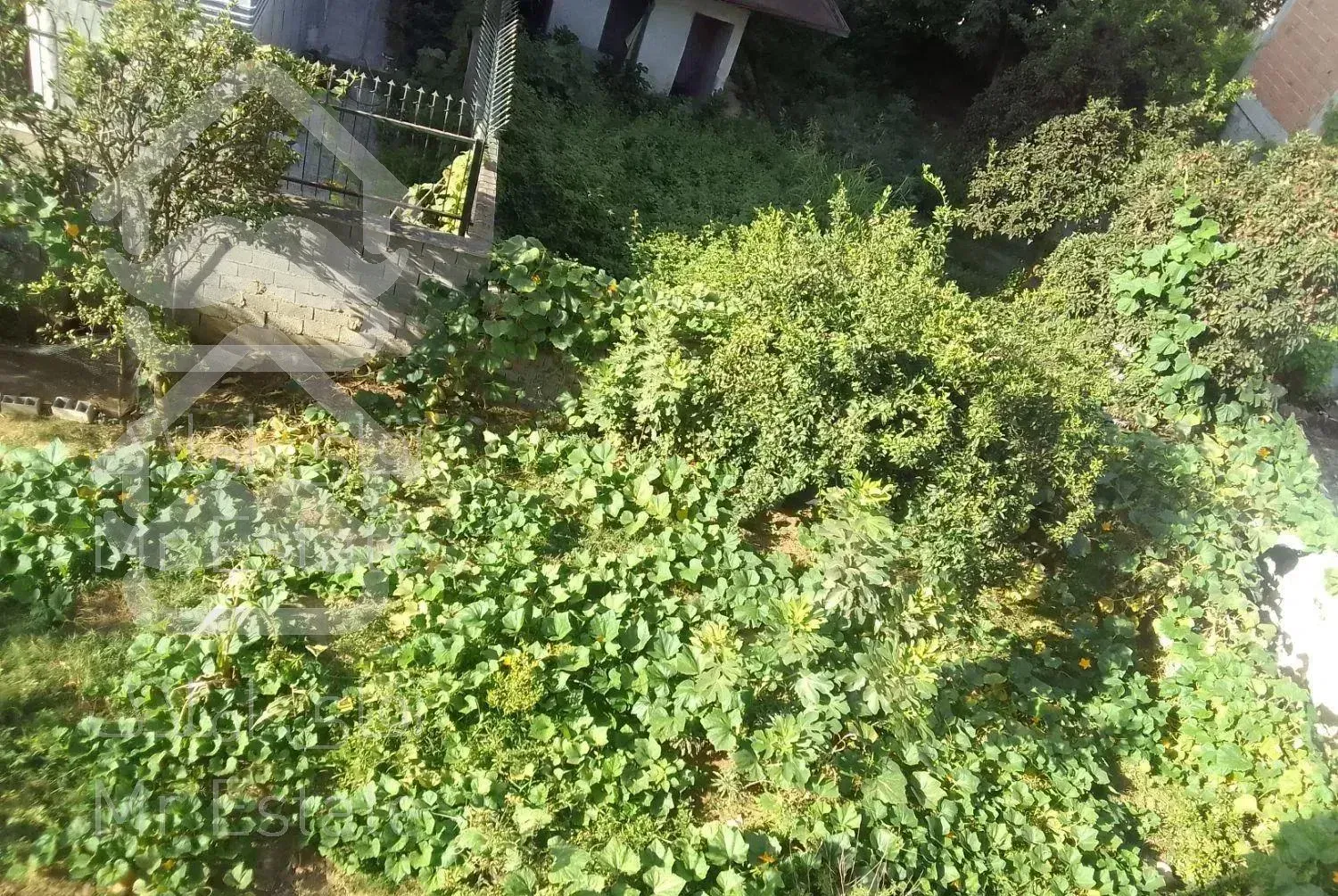 ویلاباغ بهار *روف گاردن* بدون واسطه نوساز