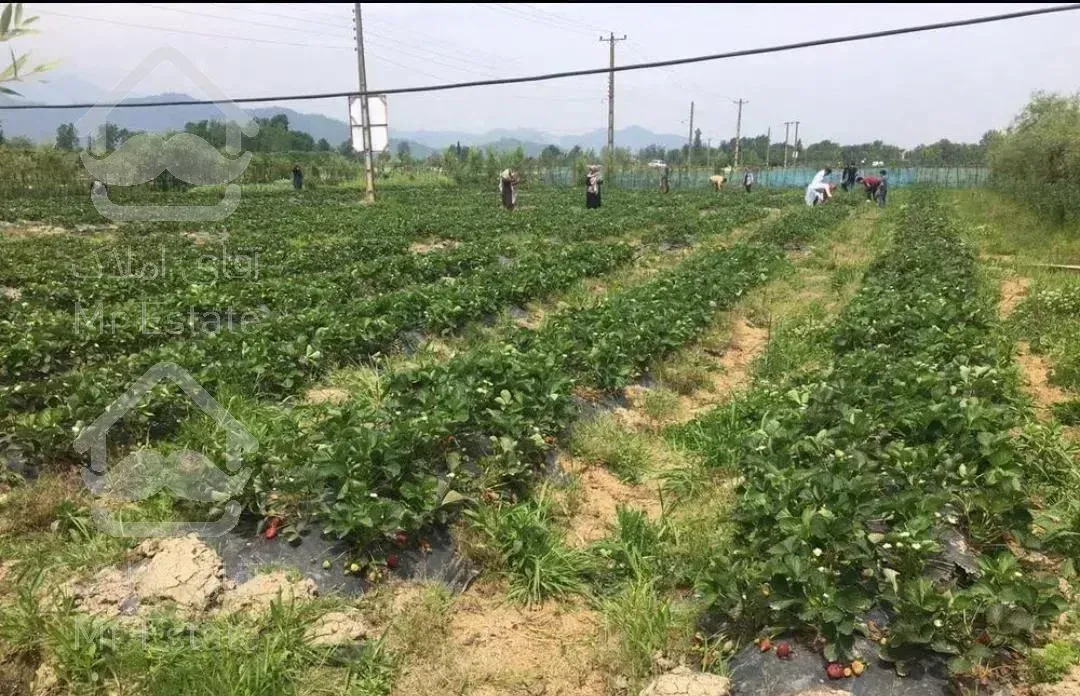 اجاره ویلا  در فومن ماسوله  هفته گی ماهانه