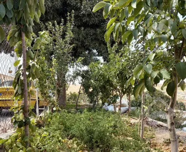 خانه ویلایی ۱۶۱ متری با یک سوئیت مجزا