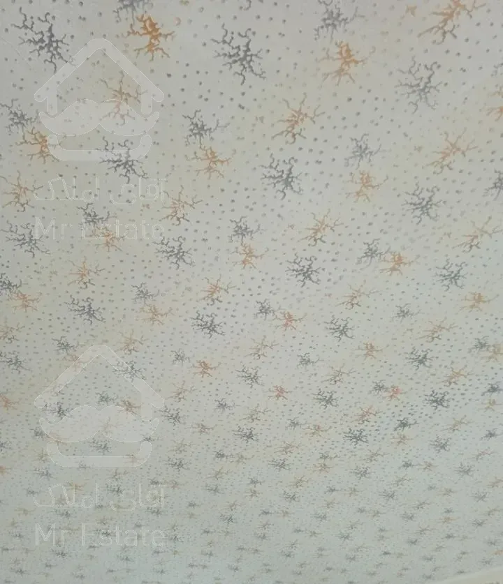 طرح کاغذ دیواری  و خدمات نقاشی ساختمان