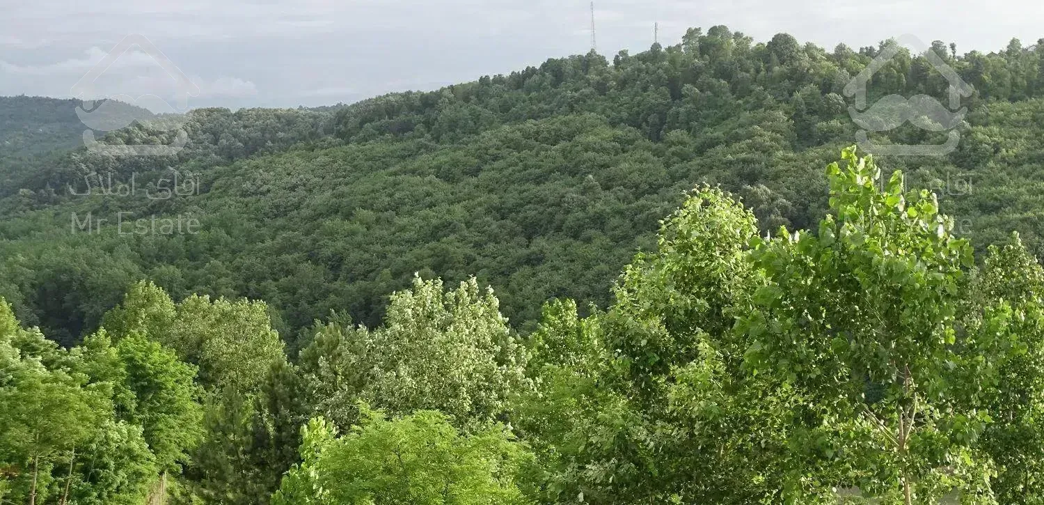 اجاره ویلا ۱۱۰ متر  با ویوی جنگل و کوه