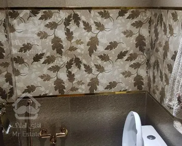 ۲۵۰ متر ویلا ۴۰۰ متر زمین پلور