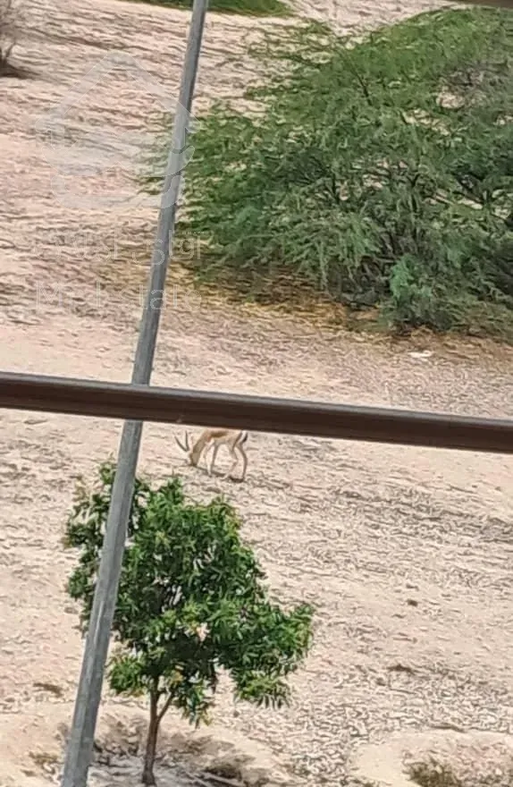 فروش آپارتمان ۱۲۸ متری ۳ خوابه وی آی پی پاسارگاد