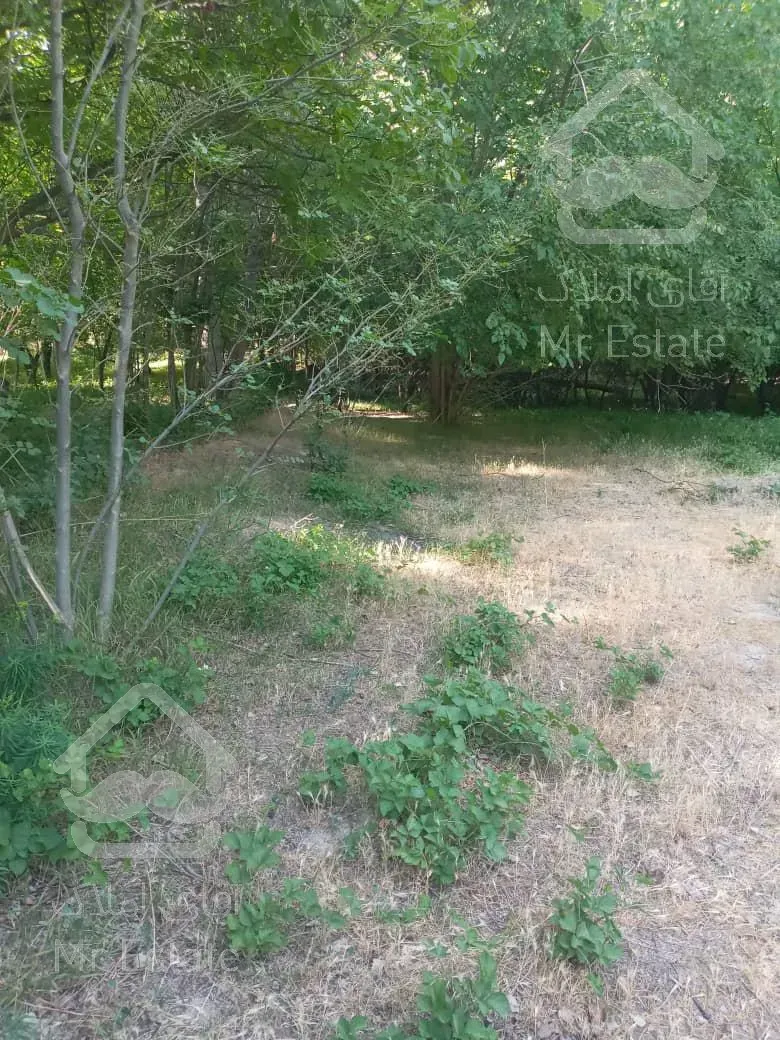 ۱۳۵ متر زمین در روستای زریندشت