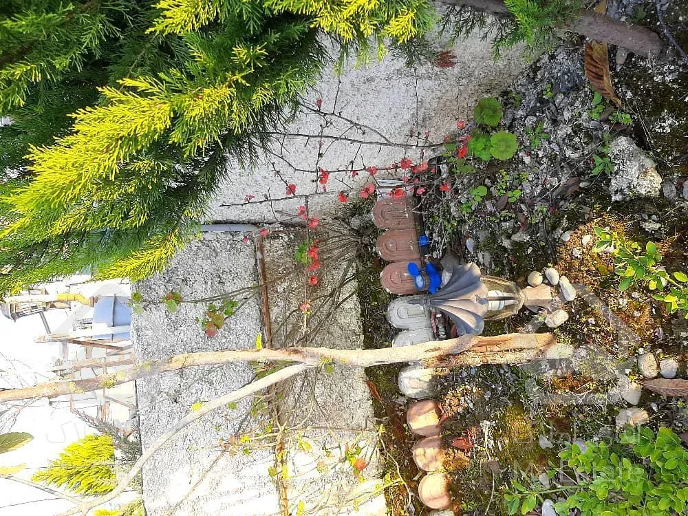 ويلاباغ٣٠٠مترى فوق العاده زيرقيمت سند تك برگ