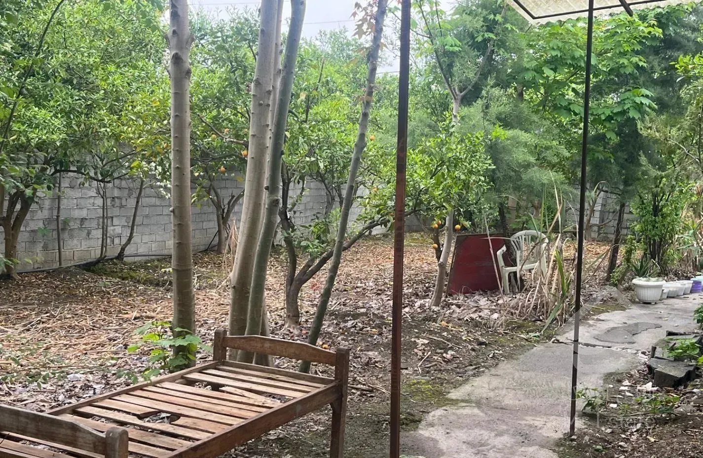 شمال جاده کیاکلا