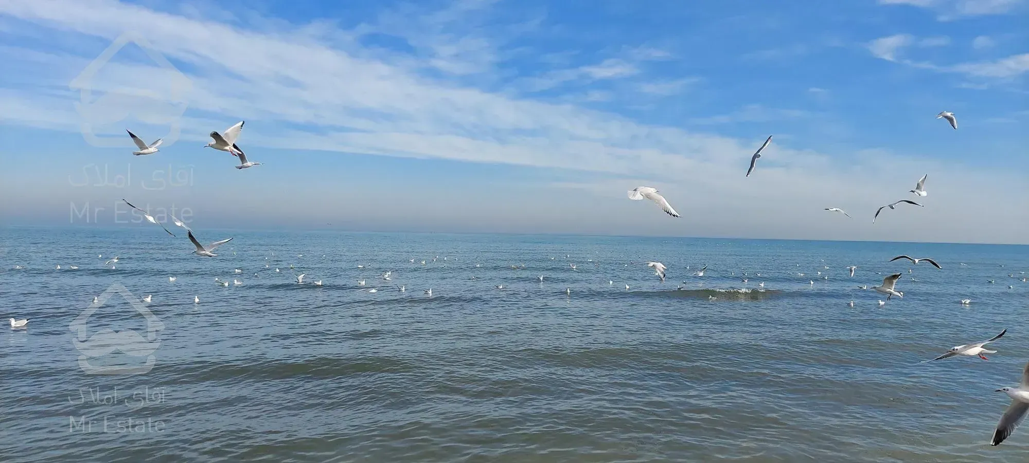 ۴۰۰ متر زمین ساحلی جاده به ساحل