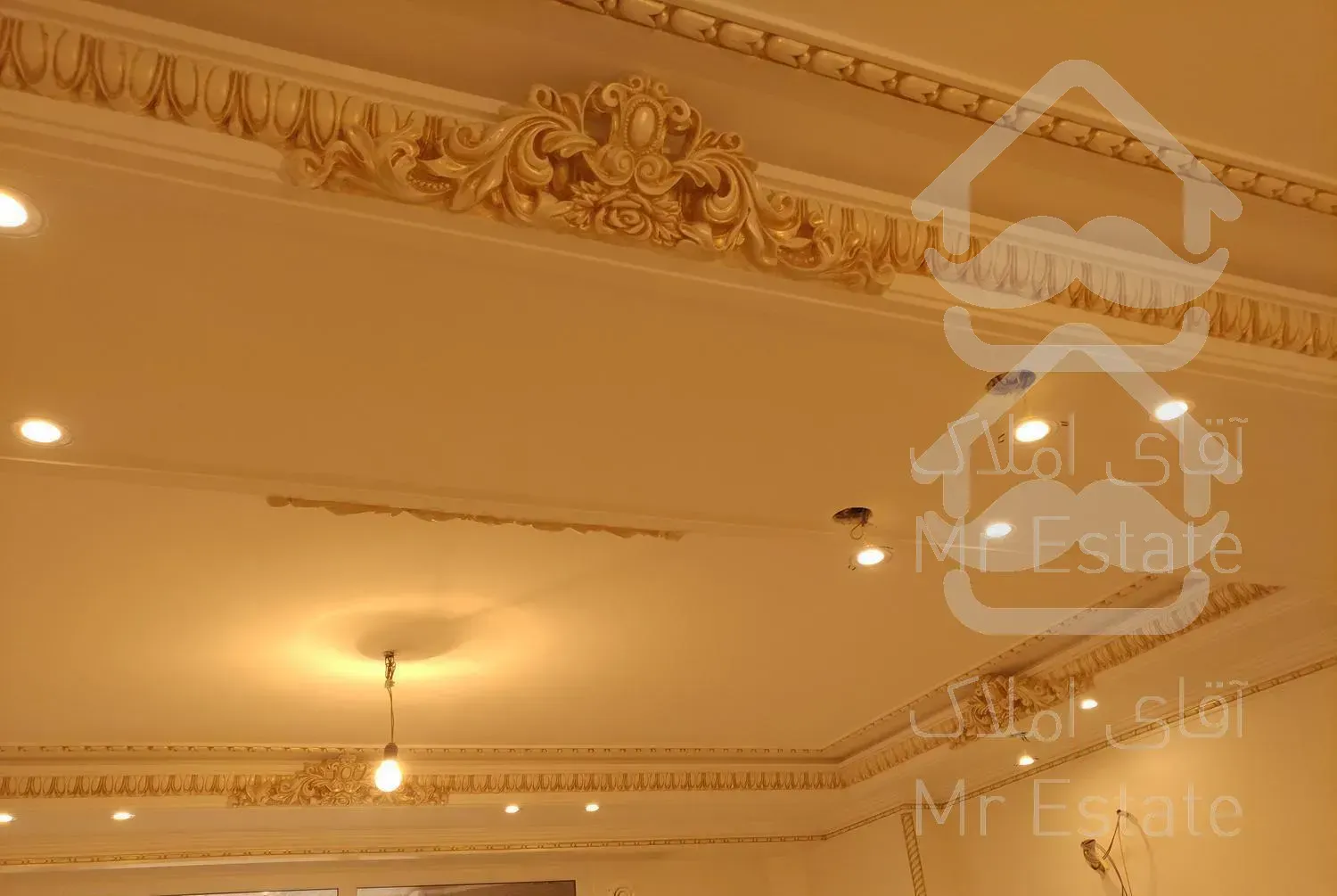 163 متر شقایق شمالی