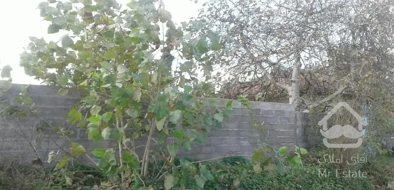 ۵۲۰مترکلنگی سنددار خشکبیجار