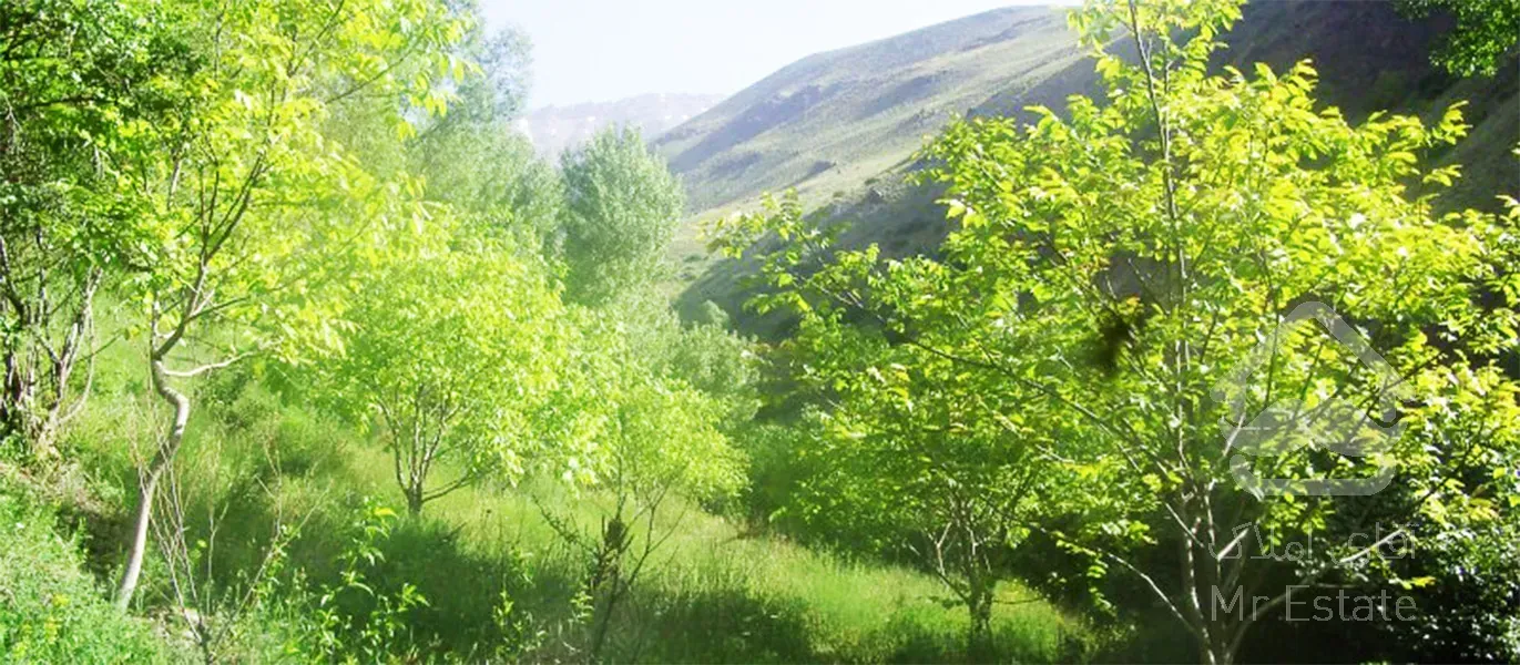 فروش زمین باغی در هویر دماوند | ۲۹۰۰ متر | مناسب ساخت ویلا | چشم‌انداز آبشار | تهاتر با ملک یا خودرو