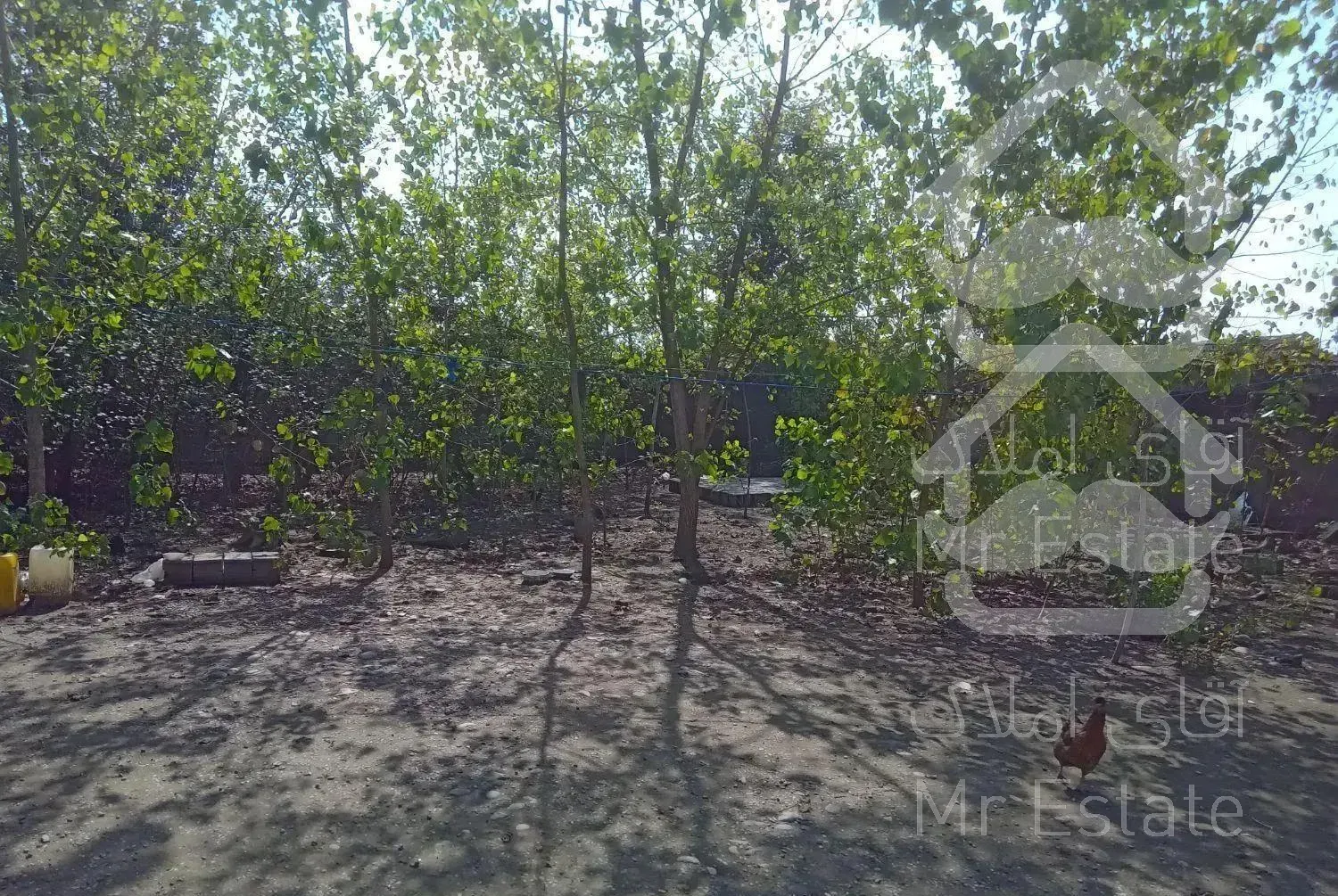 اجاره ویلا باغ خانوادگی وروستایی وساحلی