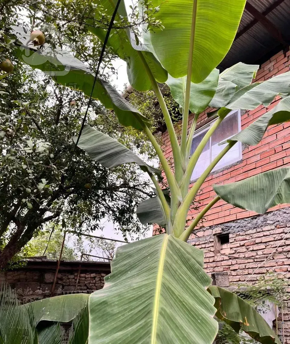 خانه ویلایی ۱۲۲/۵۵متری در ارطه.