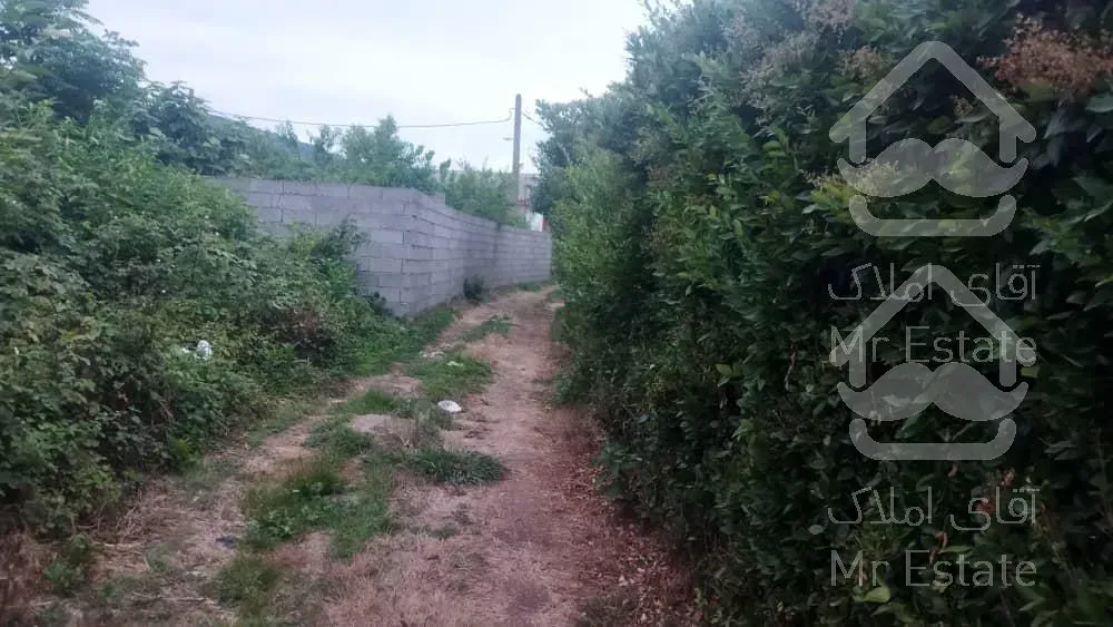 زمین مسکونی 900متری