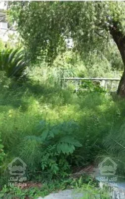 ویلا شهرکی 505 متری کلارآباد