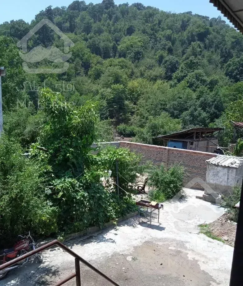 سوئیت‌کنار‌جنگل