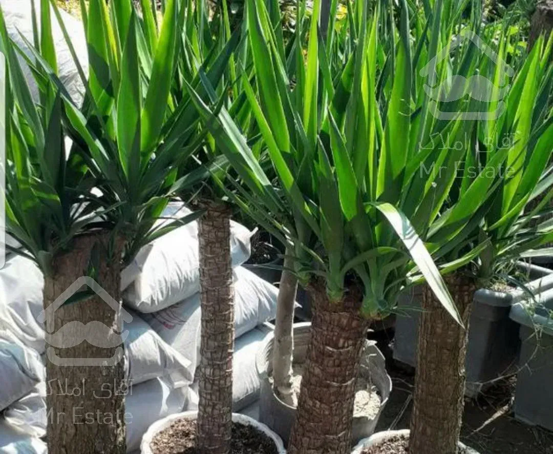 انجام کلیه امور فضای سبز ، ابیاری قطره ای ،روف گاردن