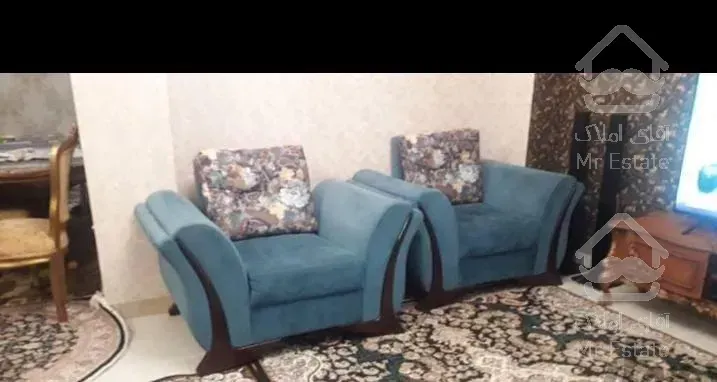 قالیشویی و مبل شویی(مدرن)